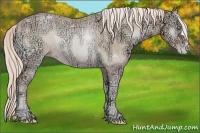 Horse Color:Palomino Ice Pearl Onyx
