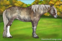 Horse Color:Palomino Ice Onyx 