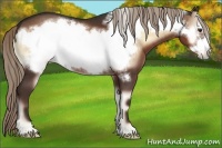 Horse Color:Liver Red Onyx Frame 