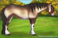 Horse Color:Liver Red Onyx