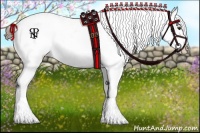 Horse Color:Liver Chestnut Sabino Appaloosa 