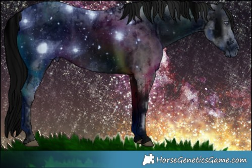 Horse Color:ERROR: UNKNOWN ANOMALY and ERROR: UNKNOWN ANOMALY