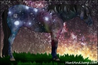 Horse Color:ERROR: UNKNOWN ANOMALY and ERROR: UNKNOWN ANOMALY