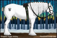 Horse Color:Liver Chestnut Sabino Splash Appaloosa 