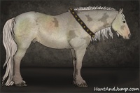 Horse Color:Silver Grullo Ice 