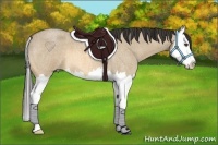 Horse Color:Buckskin Roan Dun Splash