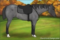 Horse Color:Smoky Blue Roan 