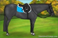 Horse Color:Blue Roan 