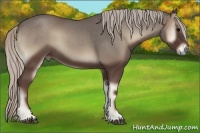 Horse Color:Silver Blue Onyx 