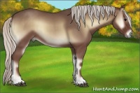 Horse Color:Silver Blue Onyx