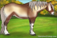 Horse Color:Silver Bay Onyx