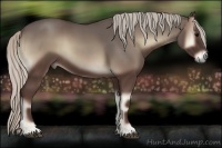 Horse Color:Silver Blue Onyx