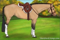 Horse Color:Bay Dun