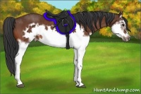Horse Color:Bay Splash Frame