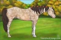 Horse Color:Amber Champagne Ice 