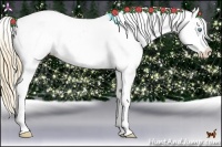Horse Color:White Spotted Gold Champagne Pearl Appaloosa 