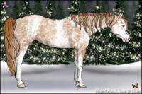 Horse Color:White Spotted Chestnut Pearl