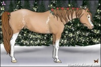 Horse Color:White Spotted Bay Pearl 