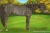 Horse Color:Plaid  Liver Chestnut Rabicano 