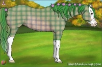 Horse Color:Watercolor Plaid  Bay Splash Rabicano 
