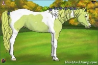 Horse Color:Watercolor Chestnut Sabino Tobiano