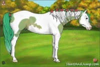 Horse Color:Watercolor Bay Splash Tobiano 