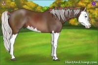 Horse Color:Silver Brown Splash