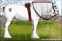 Horse Color:Silver Black Sabino Appaloosa 