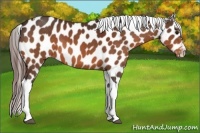 Horse Color:Bay Tobiano Varnish 