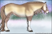 Horse Color:Palomino Onyx 