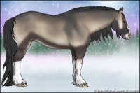 Horse Color:Smoky Blue Onyx 