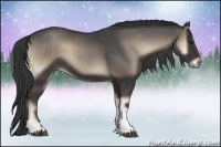 Horse Color:Smoky Blue Onyx