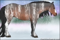 Horse Color:Brown Ice Rabicano 