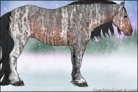 Horse Color:Brown Ice Rabicano