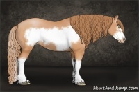 Horse Color:Bay Pearl Sabino Splash Frame