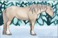Horse Color:Chocolate Palomino Pearl Sabino