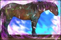 Horse Color:White Spotted Liver Chestnut Rabicano 