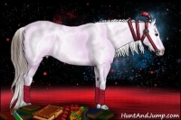 Horse Color:Buckskin Appaloosa