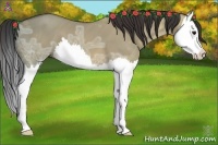 Horse Color:Brown Ice Dun Splash 