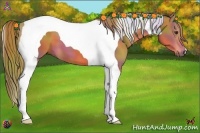 Horse Color:Nacre Watercolor Chestnut Tobiano 