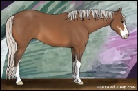 Horse Color:Silver Bay Sabino 