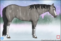 Horse Color:White Spotted Grullo Ice 