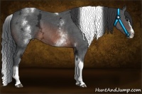 Horse Color:White Spotted Brown Ice Splash Tobiano 