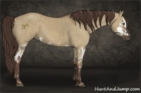 Horse Color:Liver Red Dun Splash  Brindle