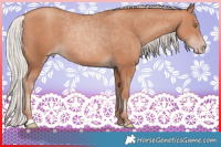 Horse Color:Silver Sable Champagne