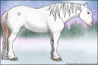 Horse Color:White Spotted Bay Onyx Splash Appaloosa Rabicano
