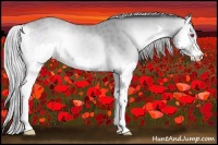 Horse Color:Silver Classic Champagne Chinchilla Onyx Splash 