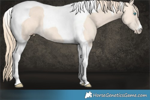 Horse Color:Perlino Tobiano 