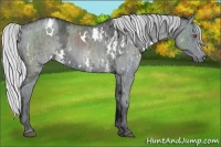 Horse Color:White Spotted Silver Grullo Chinchilla Ice  Brindle