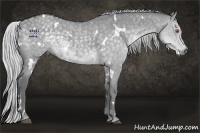 Horse Color:White Spotted Silver Grullo Chinchilla